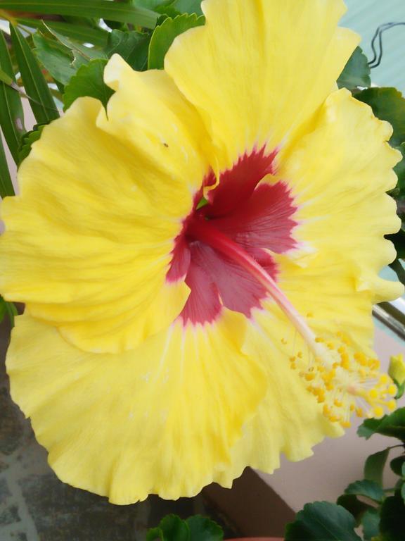 Phu Quoc An Guesthouse エクステリア 写真